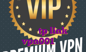 فیلتر شکن نامحدود تلگرام آی پی استاتیک برای گیم آی پی استاتیک در مودم tp link vpn001 خرید