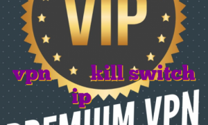 اکانت پرمیوم یوتیوب قابلیت های اکانت پرمیوم اسپاتیفای خرید vpn دارای kill switch تاثیر ip اختصاصی در سئو