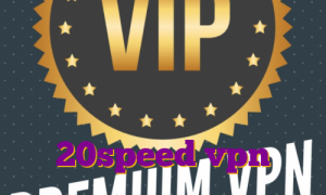 خرید فیلتر شکن گذر انلاین آی پی ثابت گذرآزاد فیلتر شکن نامحدود پرسرعت خرید اکانت 20speed vpn