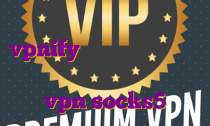 خرید آی پی ثابت آلمان اکانت vpnify خرید آی پی ثابت برای تجارت الکترونیک و ترید خرید vpn socks5