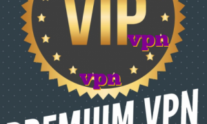 وی پی ام ای پی ثابت vpn ای پی ثابت ترید اکانت پرمیوم لینکدین خرید vpn فنلاند