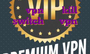 خرید vpn دارای kill switch خرید vpn نامحدود خرید آی پی ثابت گیمینگ بایننس آی پی ایران