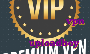 خرید فیلتر شکن در بازار آی پی ترکیه برای بایننس خرید vpn برای دور زدن تحریم دانلود اکانت پرمیوم uploadboy