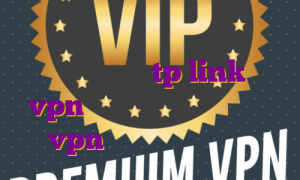 ای پی استاتیک دی وی ار آی پی استاتیک در مودم tp link خرید vpn برای تمام سیستم عامل ها vpn رایگان برای بایننس