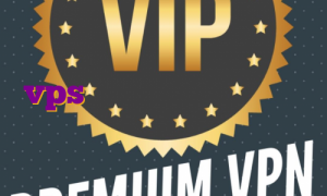 وی پی اس با آی پی ثابت خرید vps هکی آی پی اختصاصی ایران اکانت پرمیوم ماینکرافت جاوا