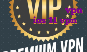 ساخت آی پی اختصاصی خريد vpn براي ايفون ios 11 vpn آی پی ثابت خرید چه وی پی انی برای پابجی موبایل خوب است